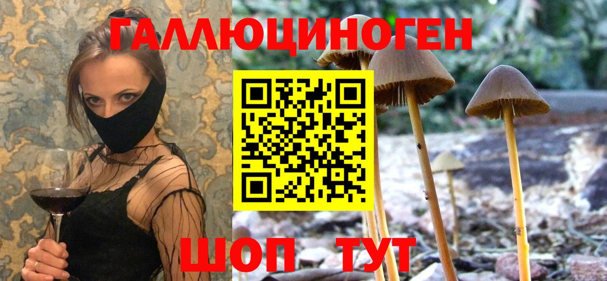Галлюциногенные грибы мухоморы Троицк