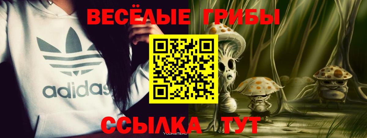 Псилоцибиновые грибы GOLDEN TEACHER  Вход с VPN  Троицк 